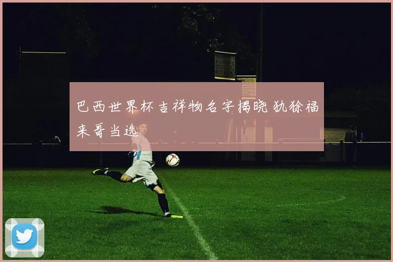 巴西世界杯吉祥物名字揭晓 犰狳福来哥当选