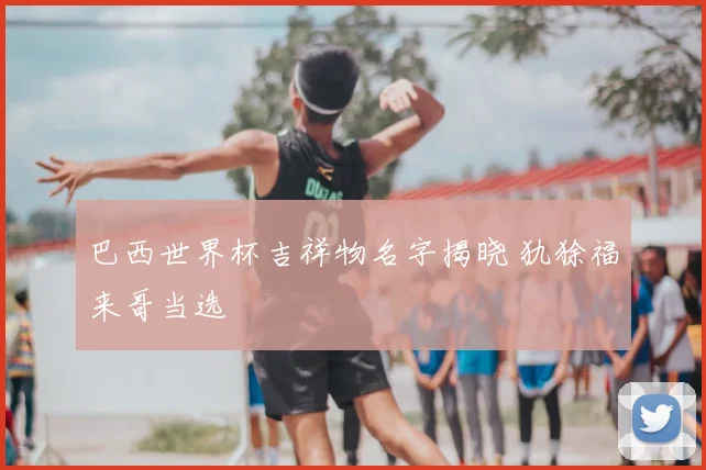 巴西世界杯吉祥物名字揭晓 犰狳福来哥当选