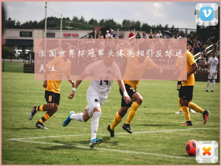 法国世界杯冠军头像亮相引发球迷关注